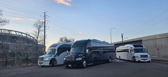 Black limo coach – Castle Rock limo service