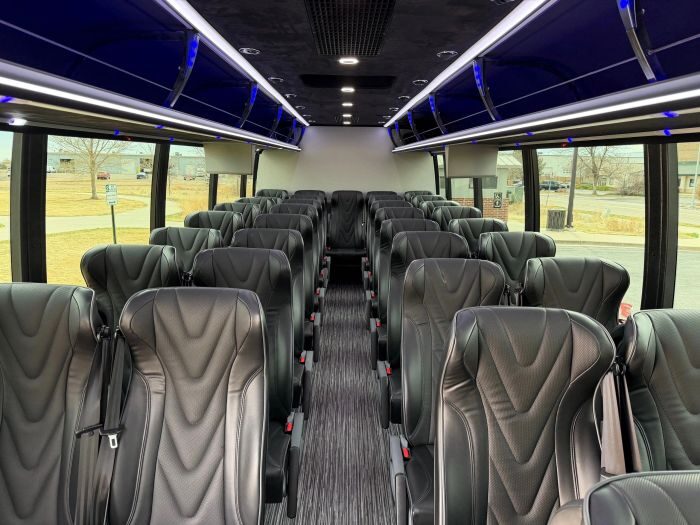 Coach bus leather seats – Castle Rock limo service