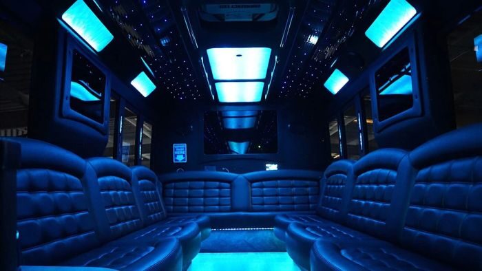 Wraparound seating and blue LED lights – Castle Rock limo service
