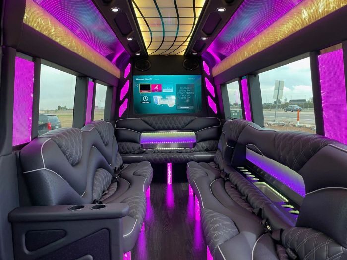 Sprinter limo lounge with TV – Castle Rock limo service