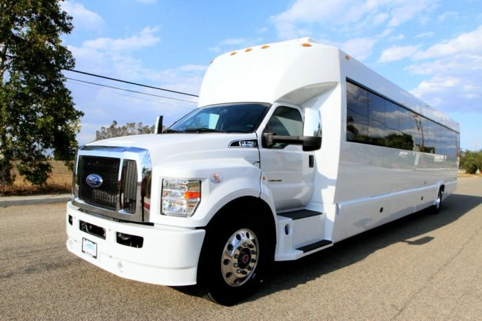 White party bus – Castle Rock limo service