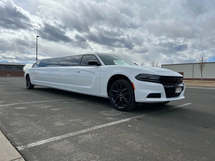 White stretch limo – Castle Rock limo service